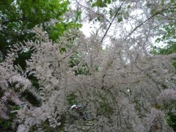 20100512_093933.jpg