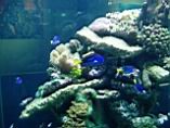 20031004_105049.jpg
