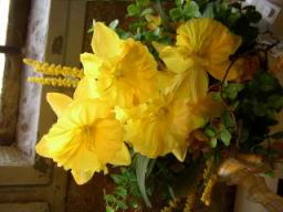 20040328_102647.jpg