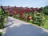 20030610_172739.jpg