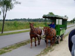 20040902_110358.jpg