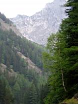 20030513_134211.jpg