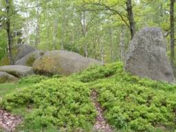 20040516_100456.jpg