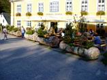 20030920_165253.jpg